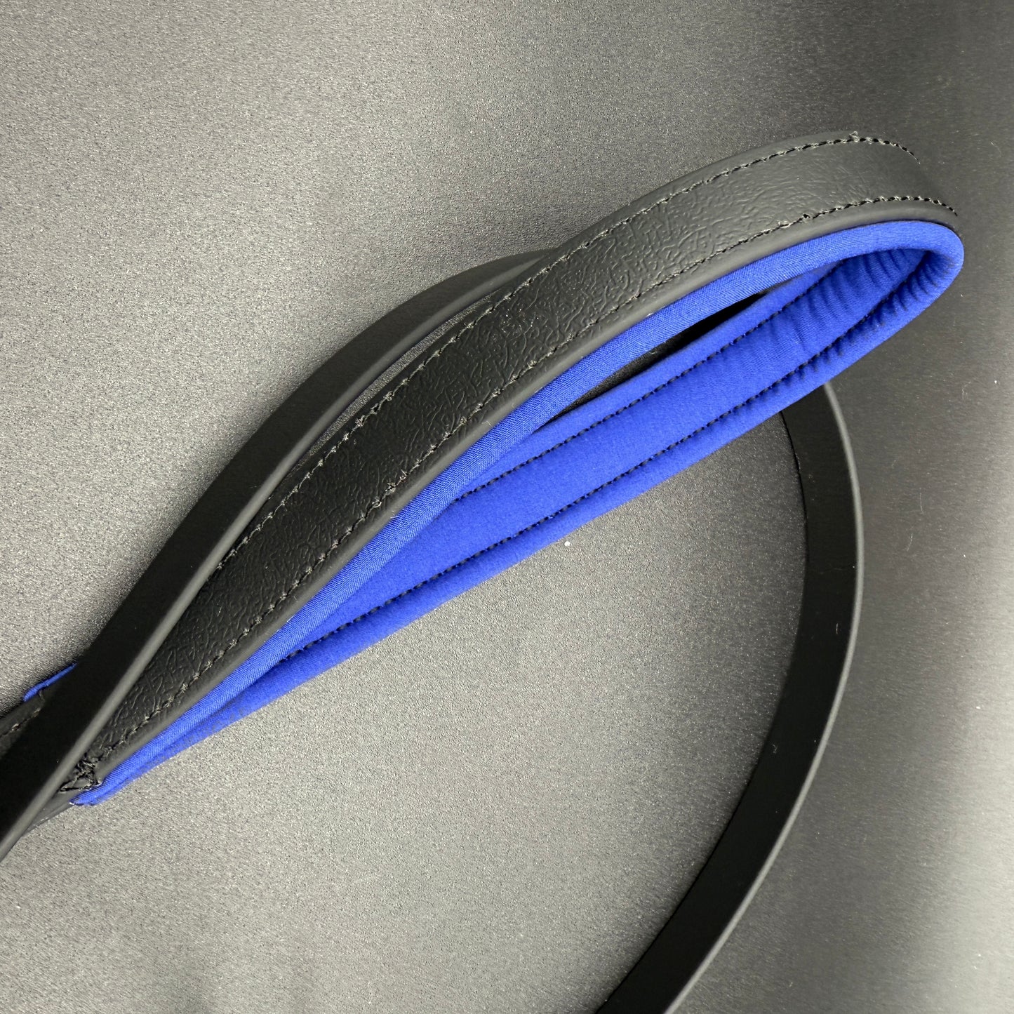 Biothane Leine 2cm King