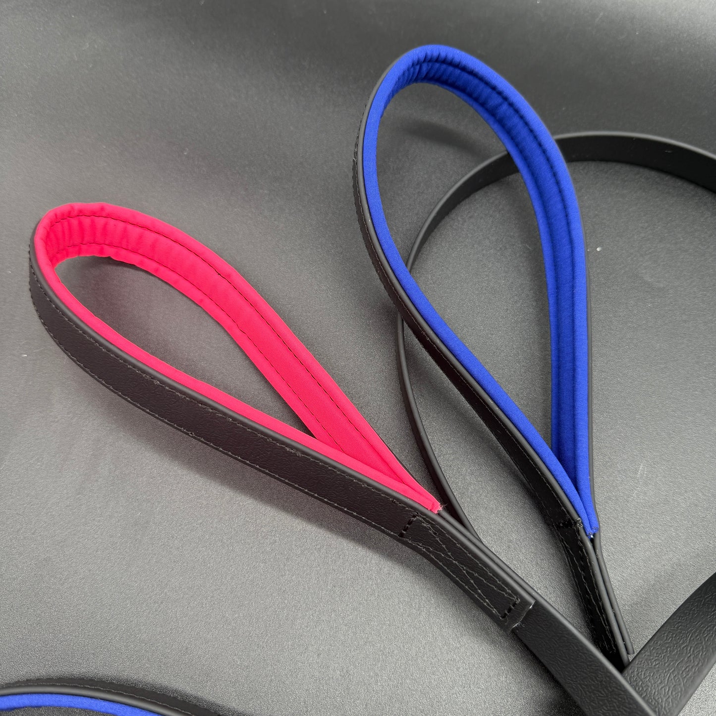 Biothane Leine 2cm breit King & Queen
