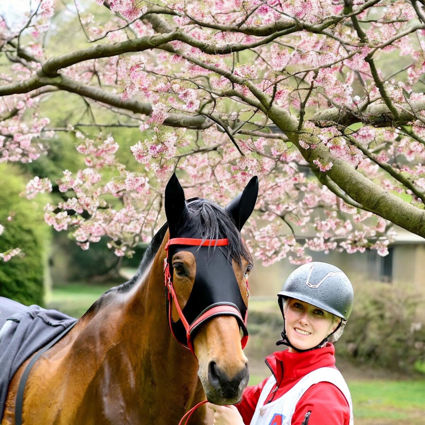 Polo mask