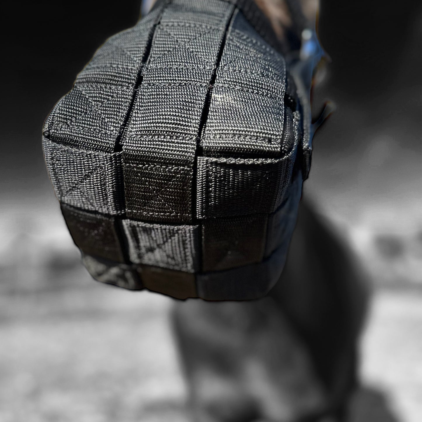 Muzzle with halter