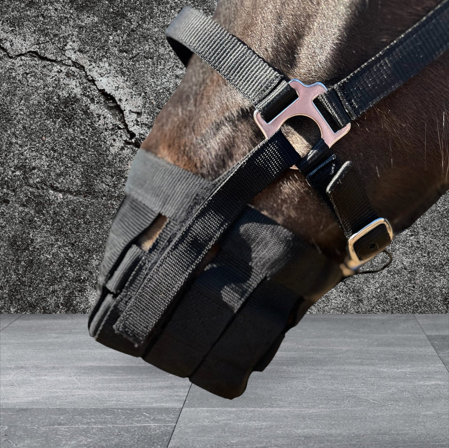 Muzzle with halter