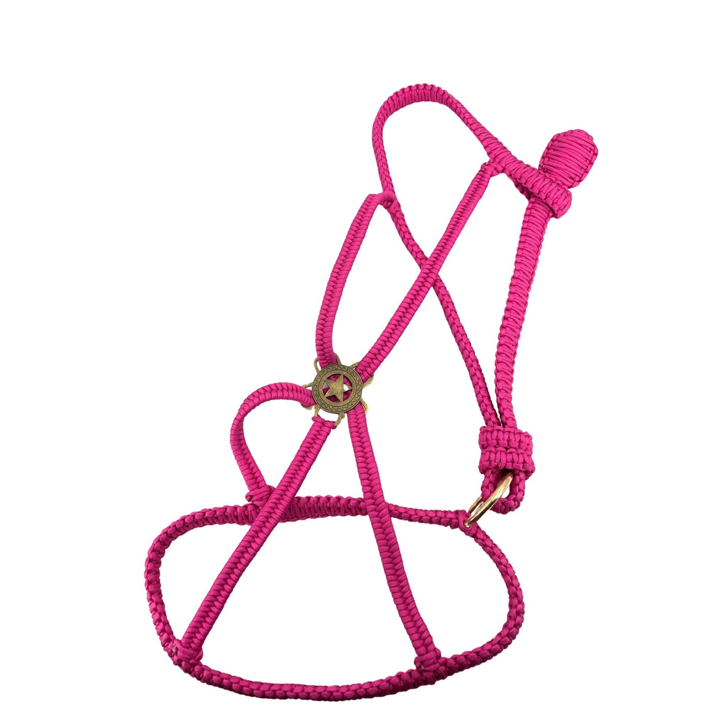 Cabestro de paracord de lujo