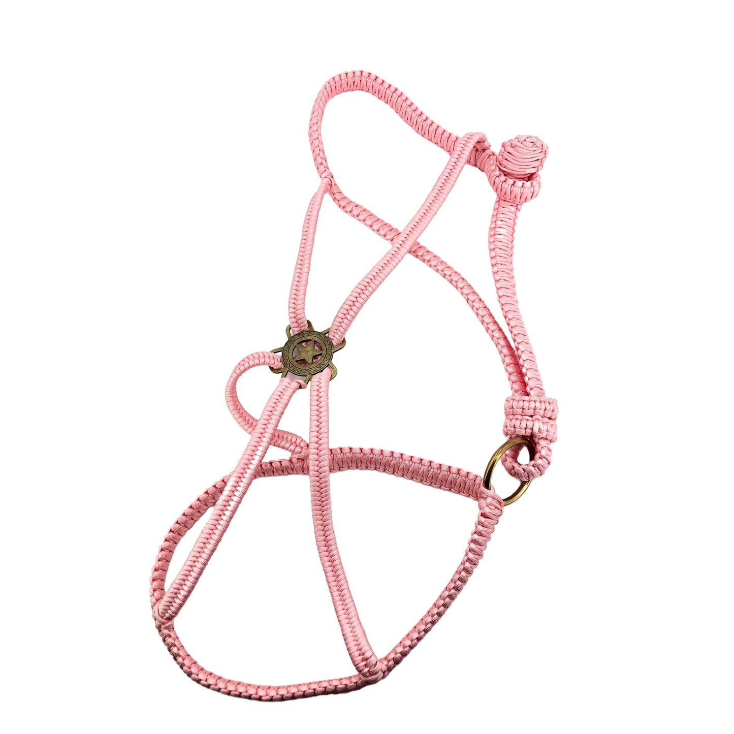 Cabestro de paracord de lujo