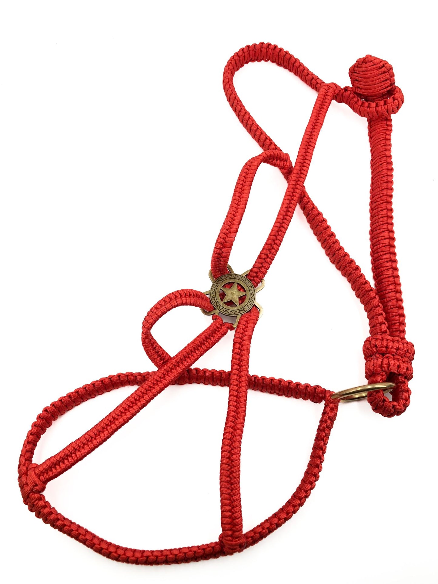 Cabestro de paracord de lujo