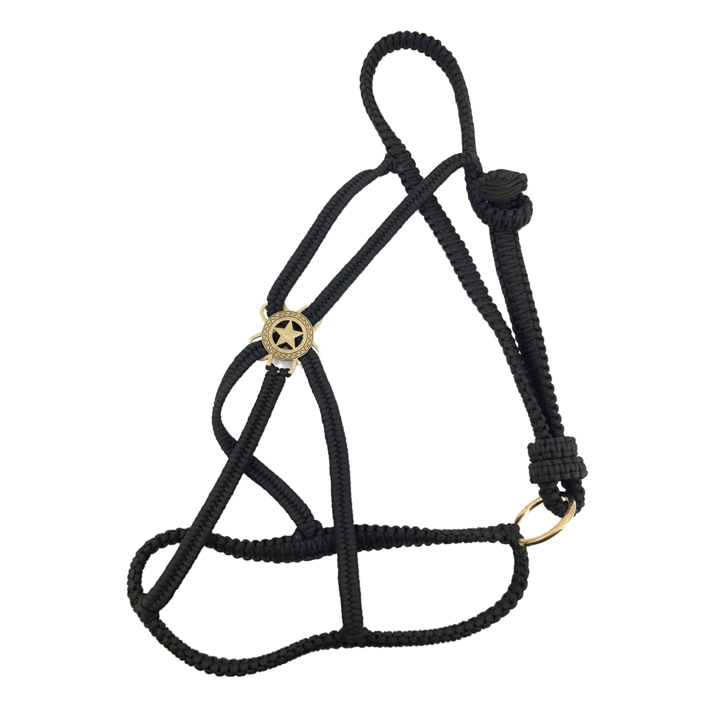 Cabestro de paracord de lujo