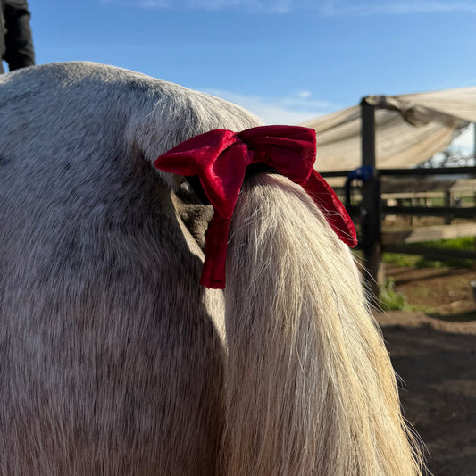 Warnschleife - (Vorsicht abstand!)