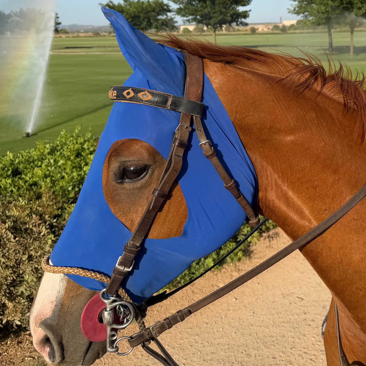 máscara de polo 