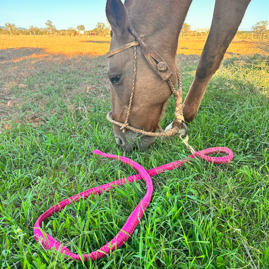 Paracord Führstrick