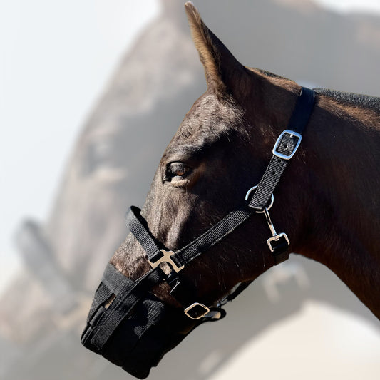 Muzzle with halter