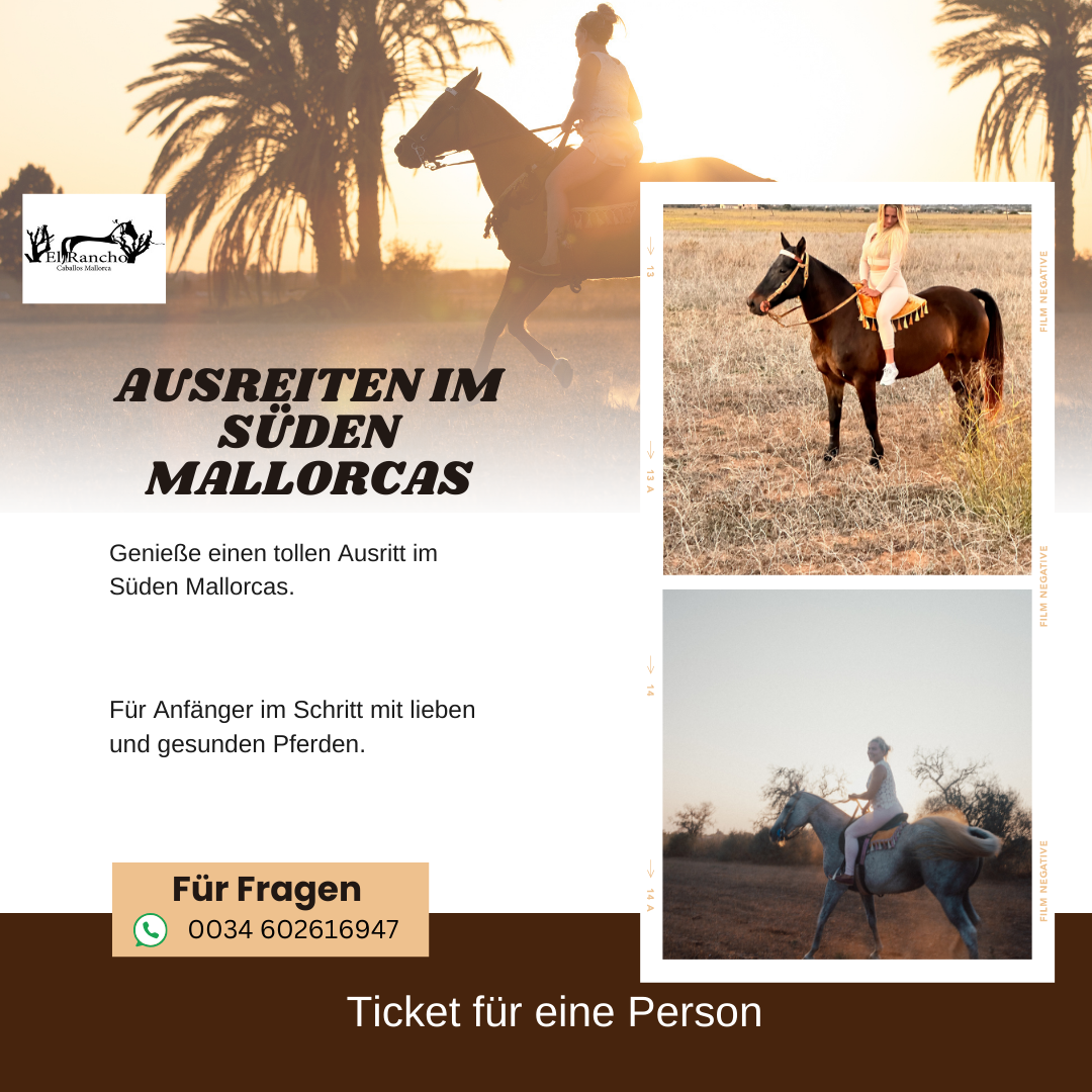 Ausritt Ticket für 1 Person