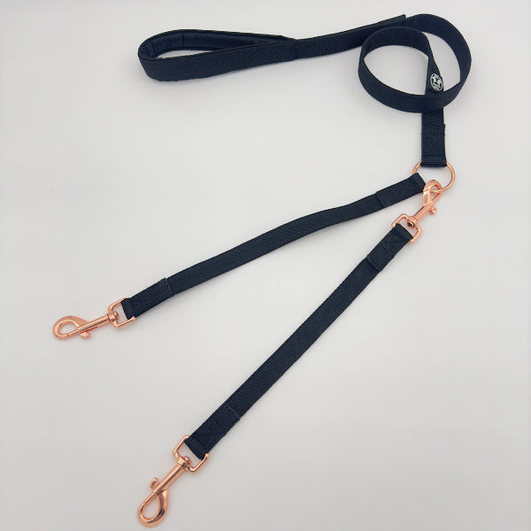 Double leash for small dogs